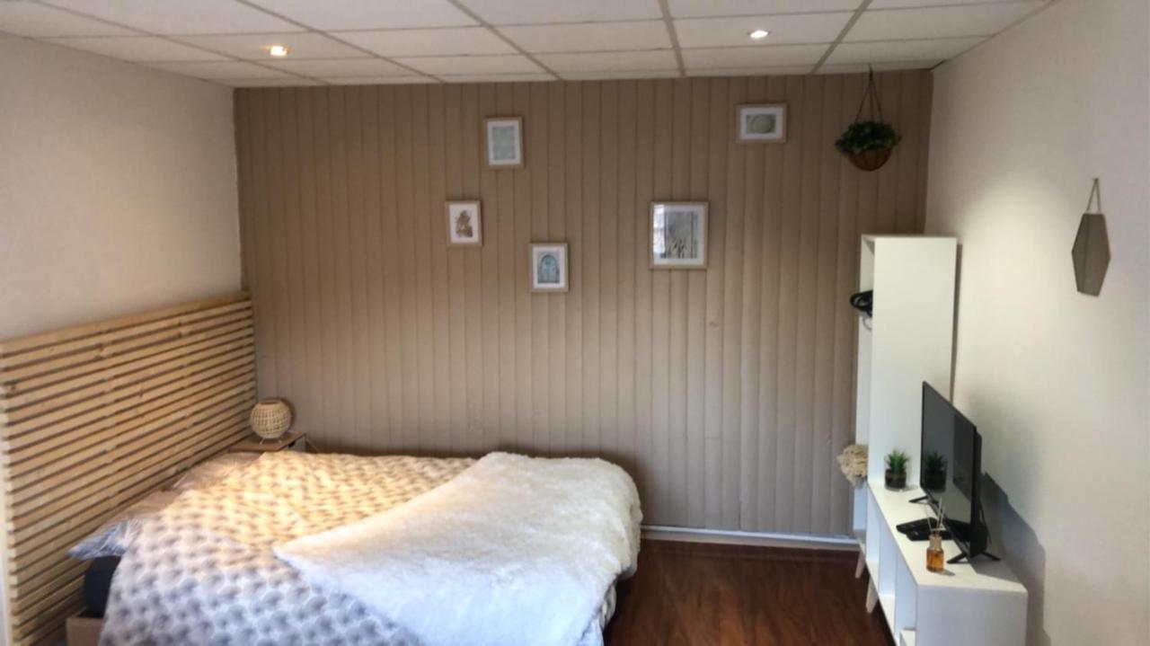 Le Printemps De Melusine Lägenhet Niort Exteriör bild